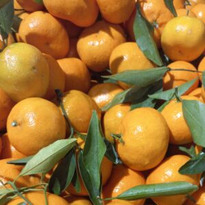 Orange Fresh Fruit And Leaves With Beautiful Orange And Green Color | Ingredients Food stock Photos Without Filter